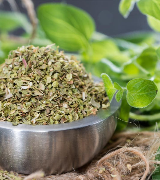 Oregano